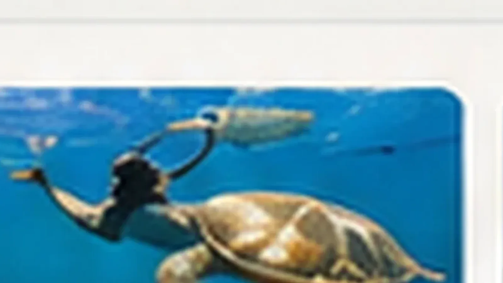 Coastal cruise in Sri Lanka. Healthy tropical reef habitat in Sri Lankan waters